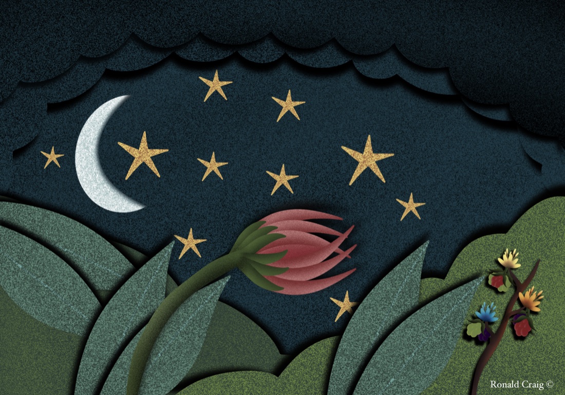 A moonlit sky over the jungle